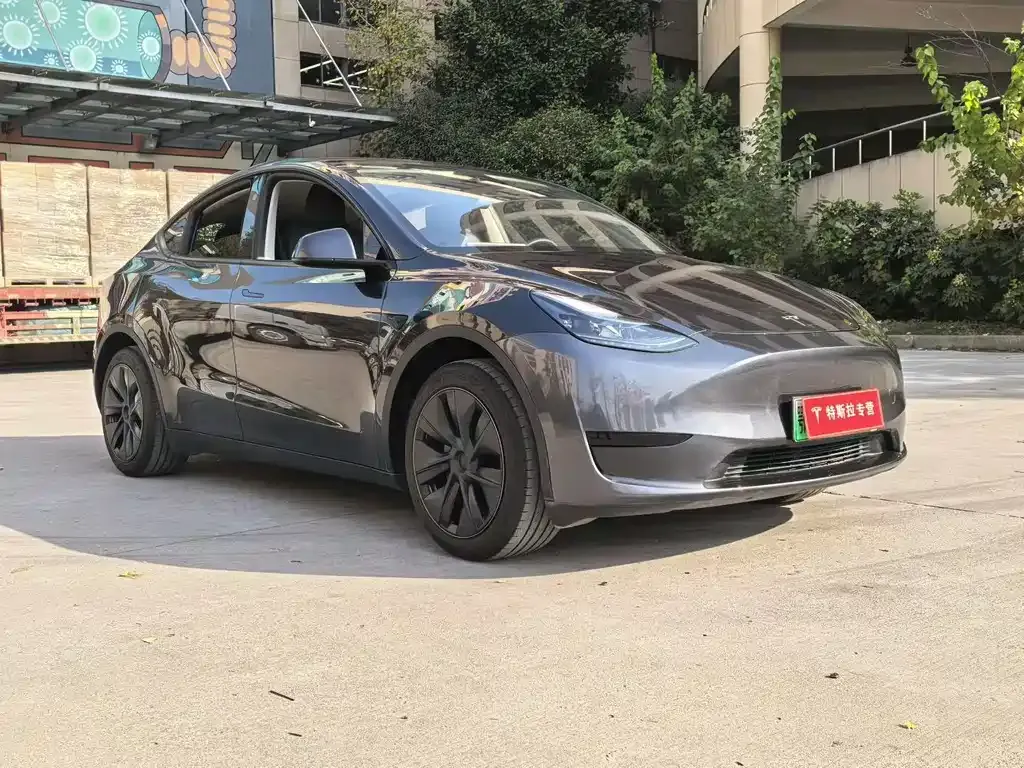 Tesla Model Y — фото 5