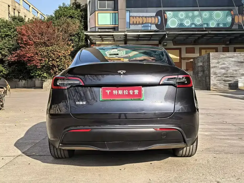 Tesla Model Y — фото 4