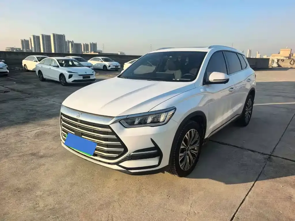 BYD Pro New Energy — фото 1