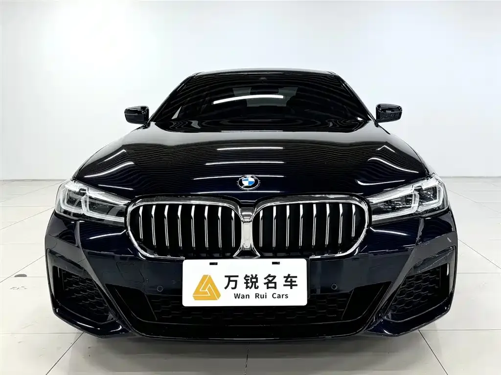 BMW 5 Series 2023 из CN, фото 8