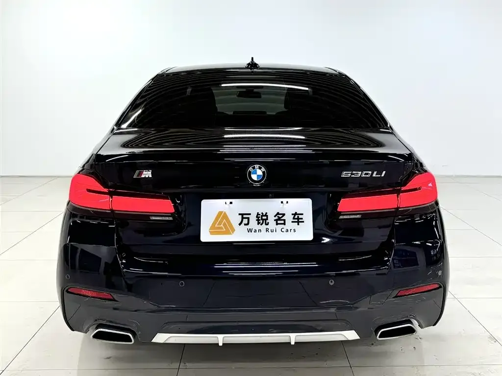 BMW 5 Series 2023 из CN, фото 3