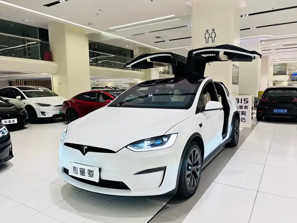 Tesla Model X 2023 из CN, фото 1