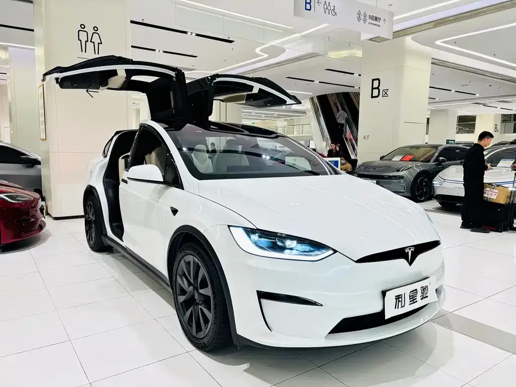 Tesla Model X 2023 из CN, фото 2