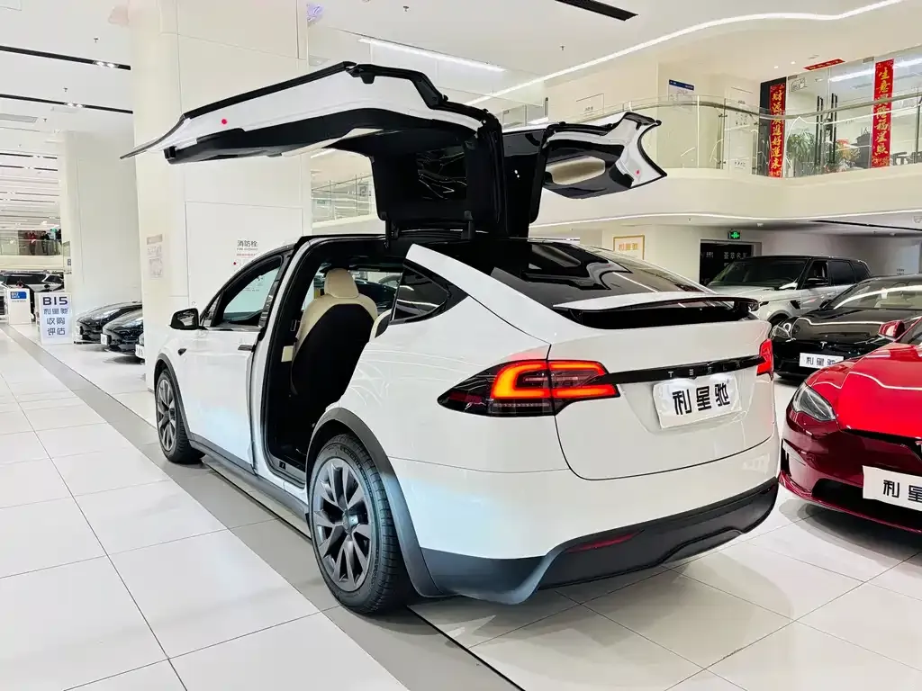 Tesla Model X 2023 из CN, фото 6