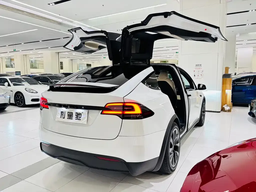 Tesla Model X 2023 из CN, фото 3