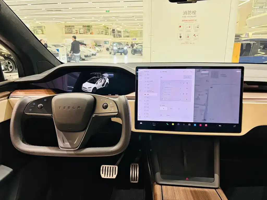 Tesla Model X 2023 из CN, фото 5