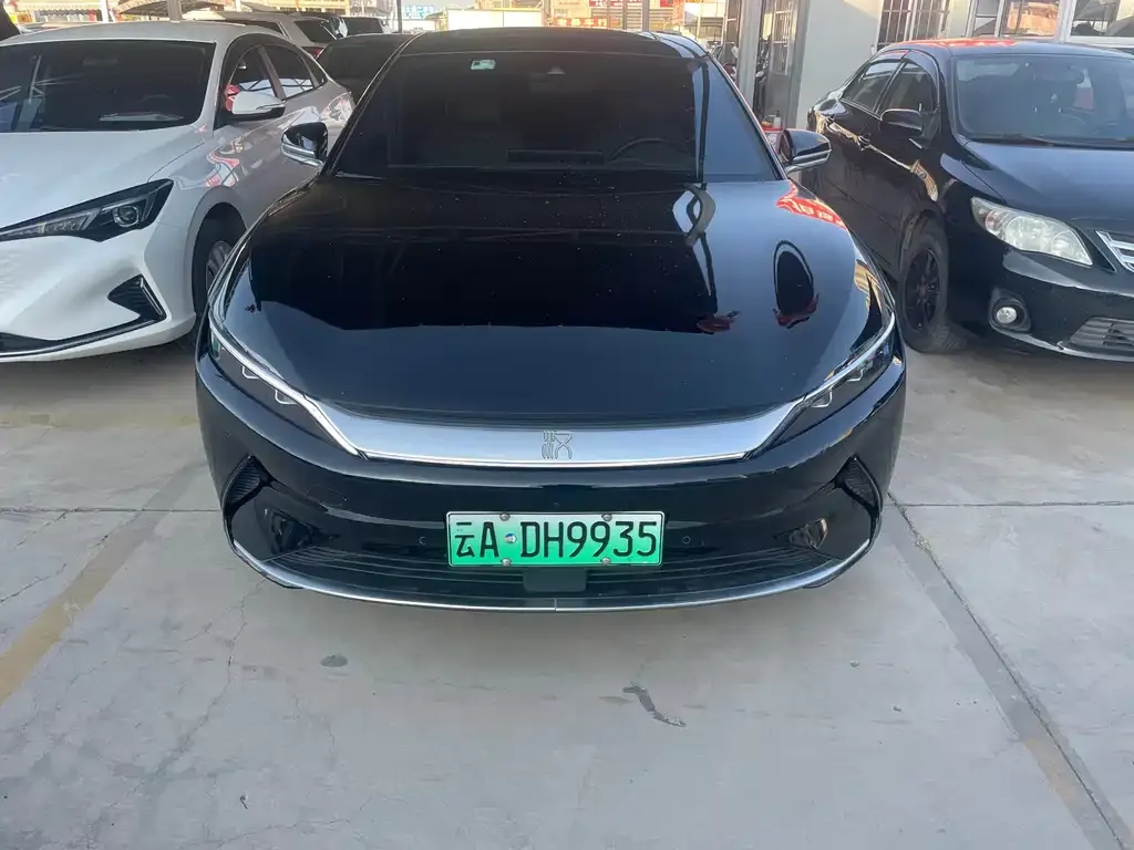 BYD Han 2022 из CN, фото 3
