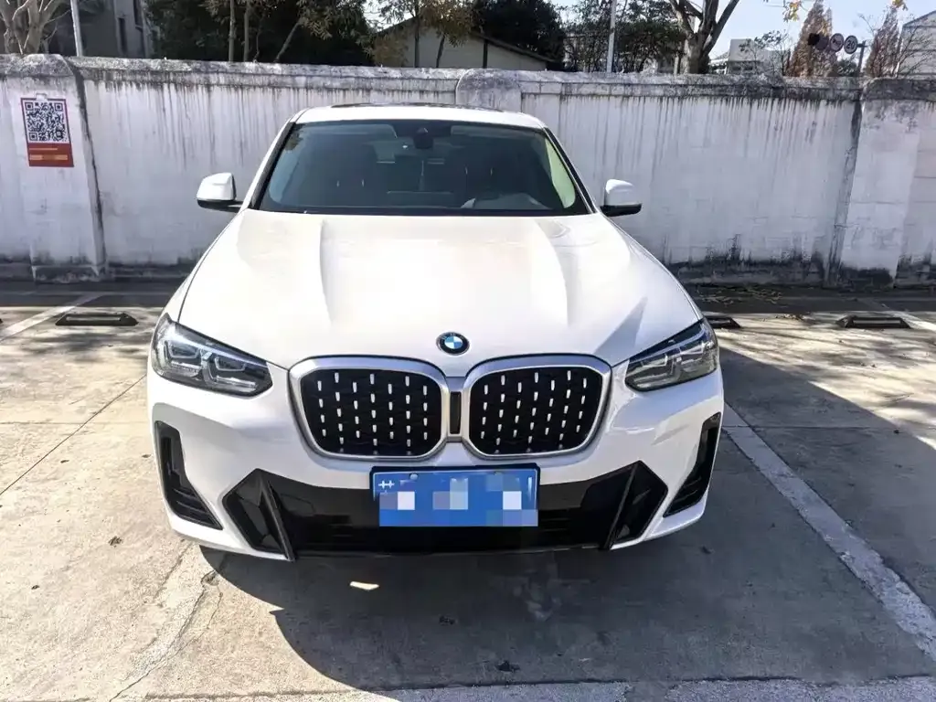 BMW X4 2024 из CN, фото 2