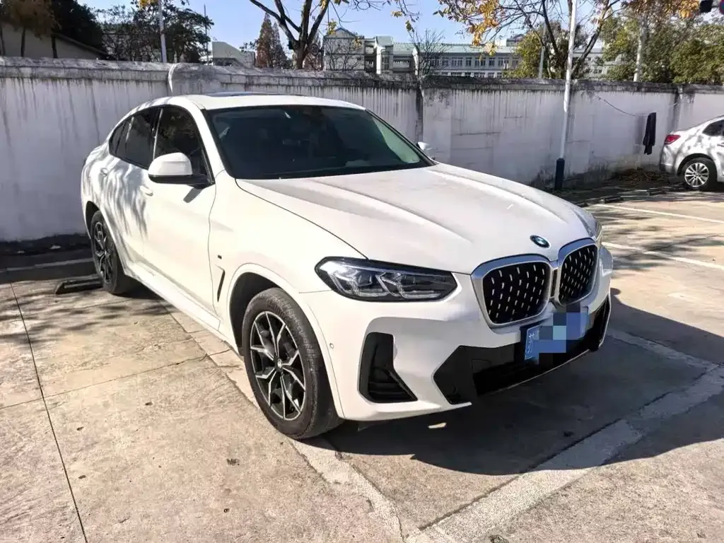 BMW X4 2024 из CN, фото 6