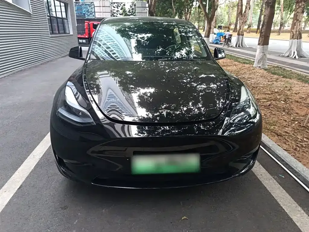 Tesla Model Y — фото 6
