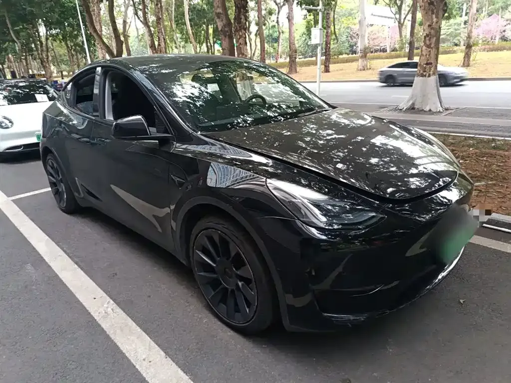 Tesla Model Y — фото 10