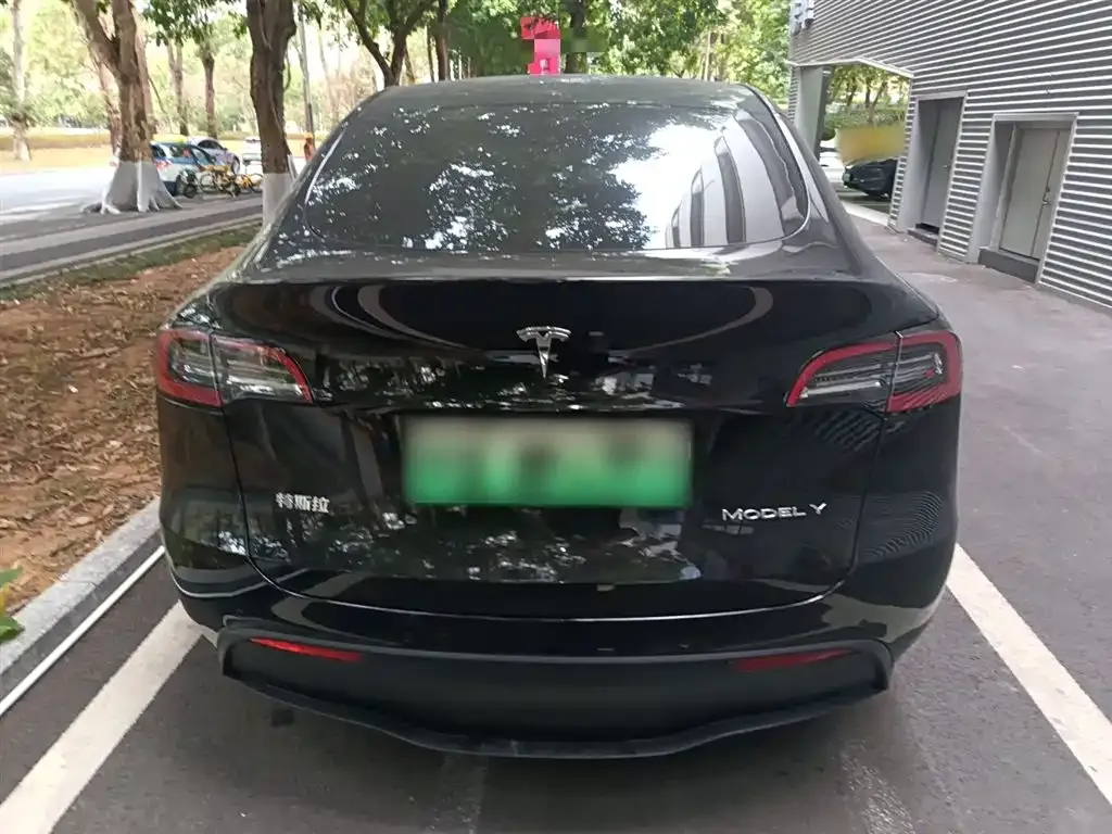 Tesla Model Y — фото 3
