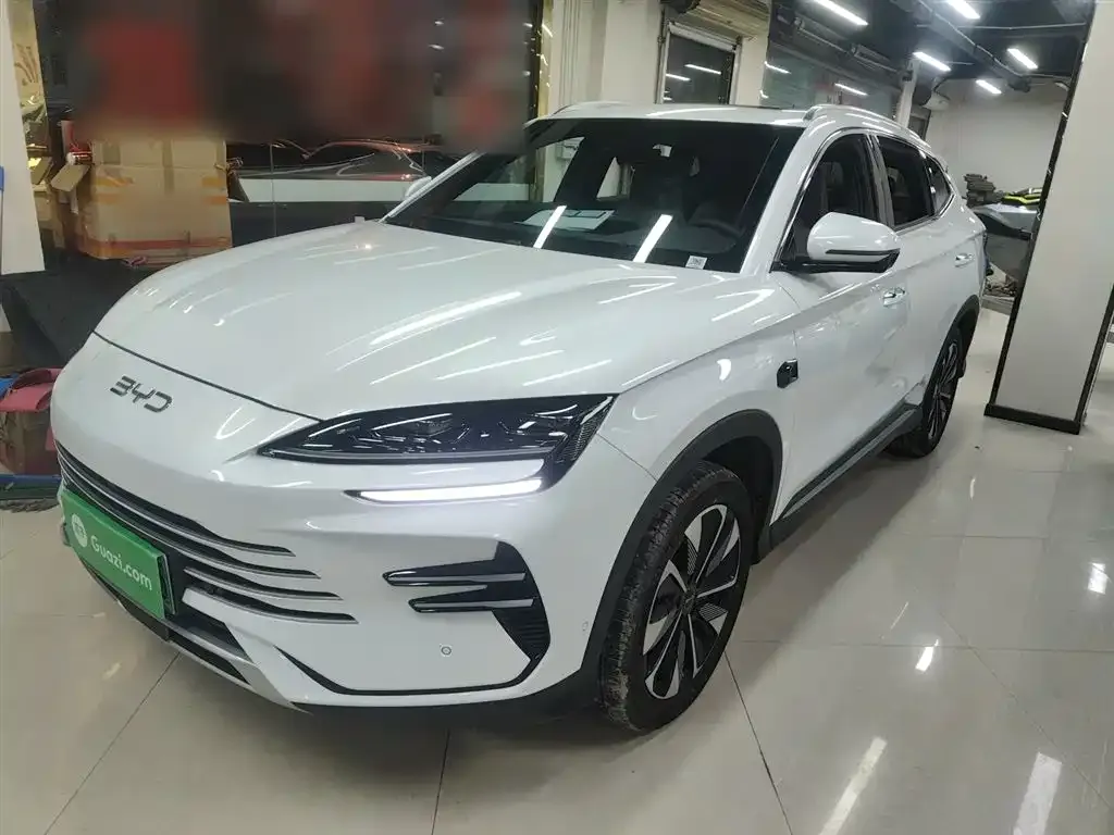 BYD PLUS New Energy — фото 1