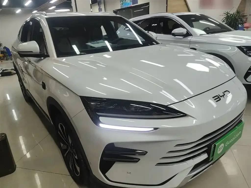 BYD PLUS New Energy — фото 4