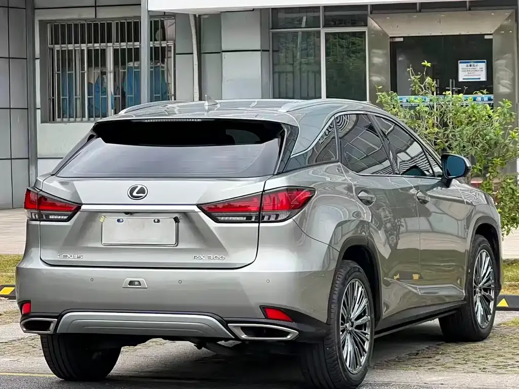 Lexus RX 2022 из CN, фото 6