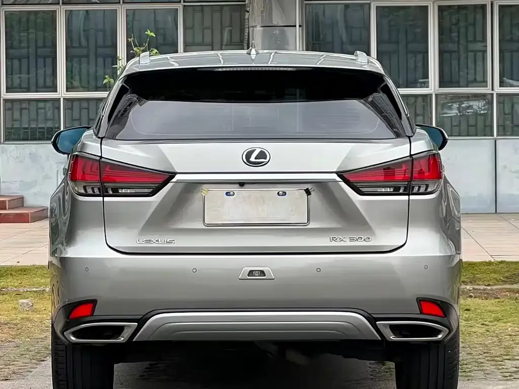 Lexus RX 2022 из CN, фото 2