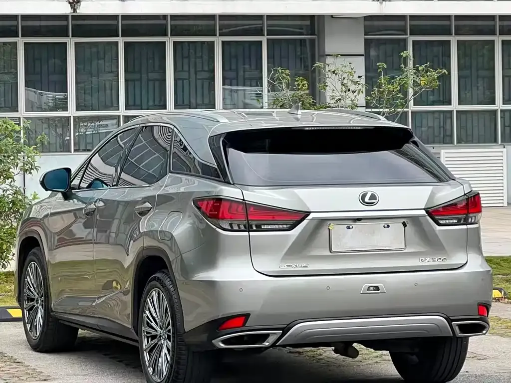 Lexus RX 2022 из CN, фото 5