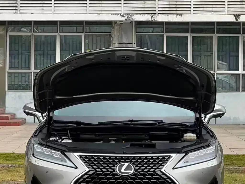 Lexus RX 2022 из CN, фото 9
