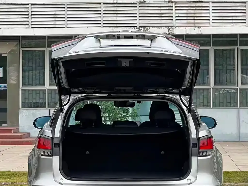 Lexus RX 2022 из CN, фото 3