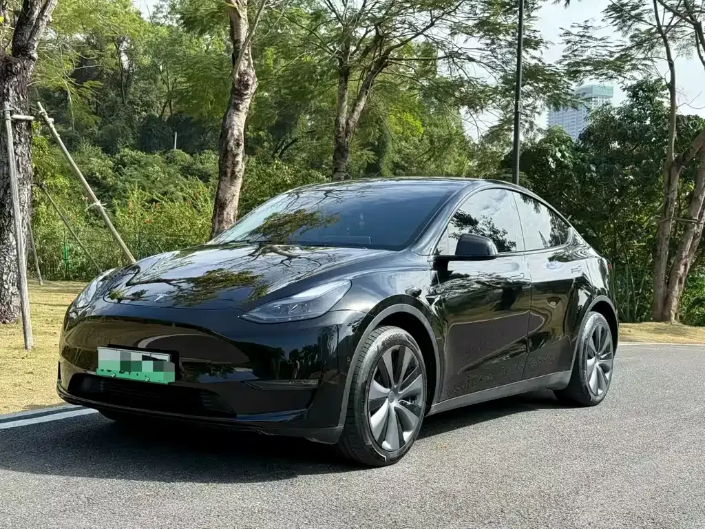 Tesla Model Y — фото 1