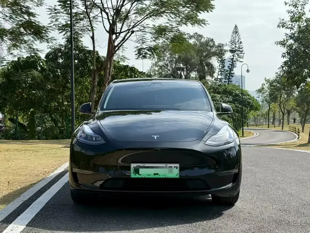Tesla Model Y — фото 8
