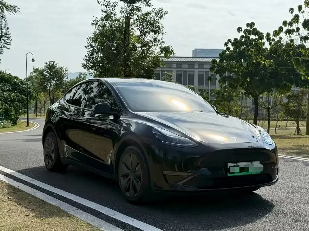 Tesla Model Y — фото 5