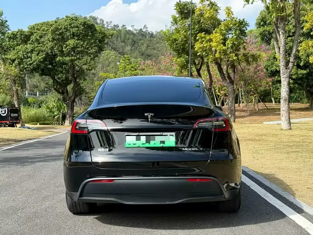 Tesla Model Y — фото 9