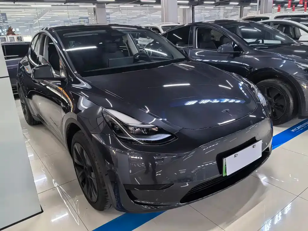 Tesla Model Y — фото 8
