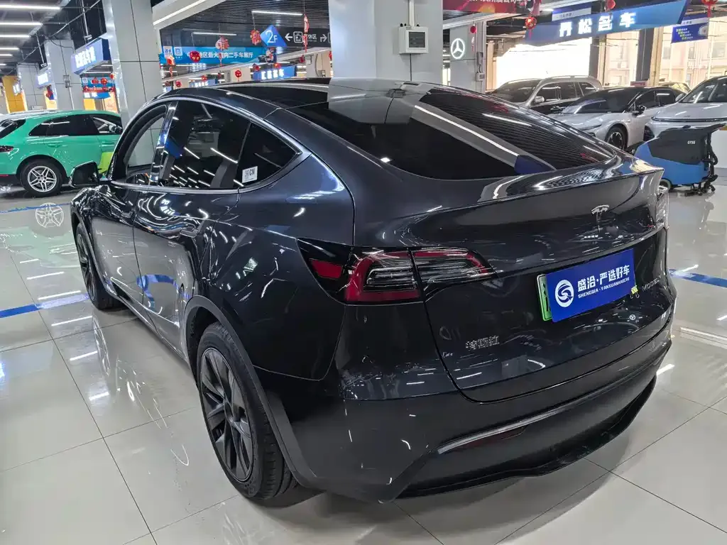 Tesla Model Y — фото 9