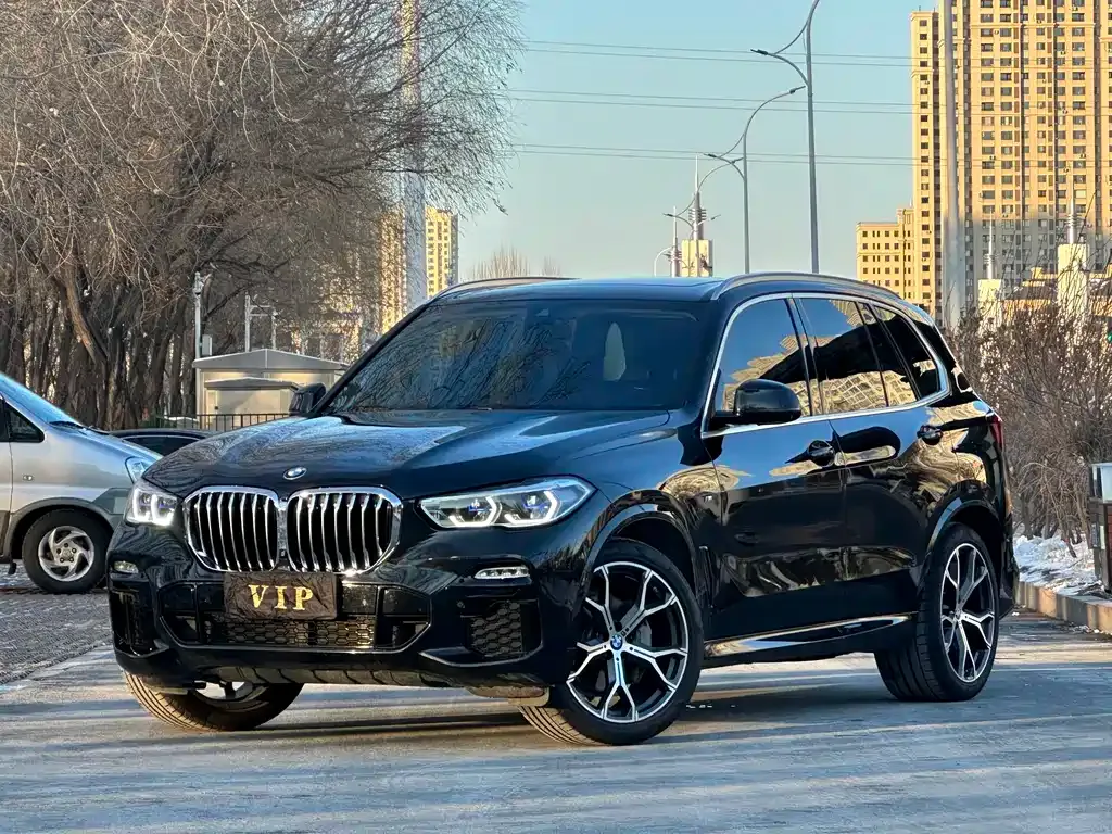 BMW X5 (Import) — фото 1