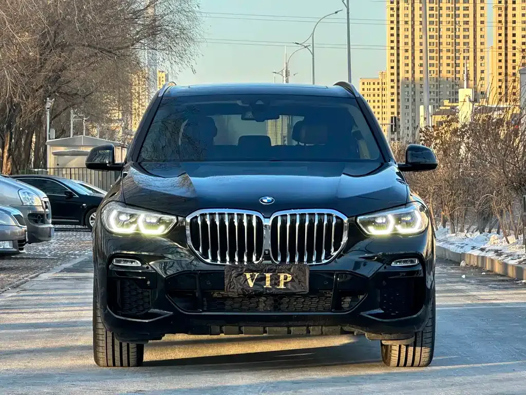 BMW X5 (Import) — фото 8