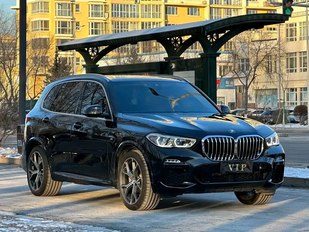 BMW X5 (Import) — фото 4