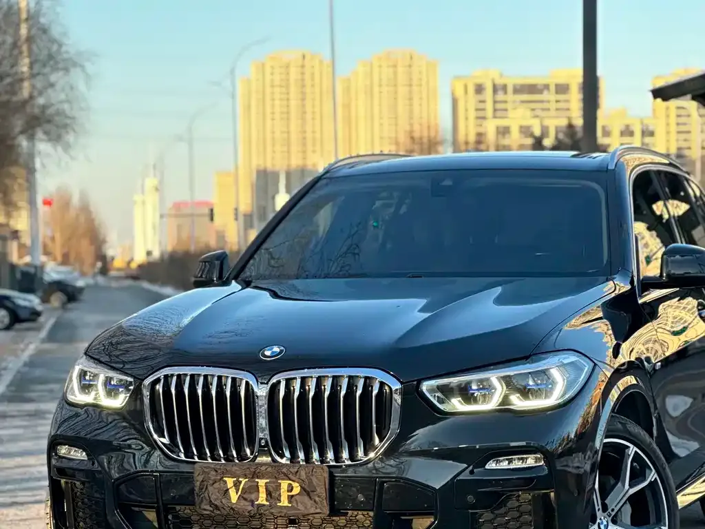 BMW X5 (Import) — фото 6