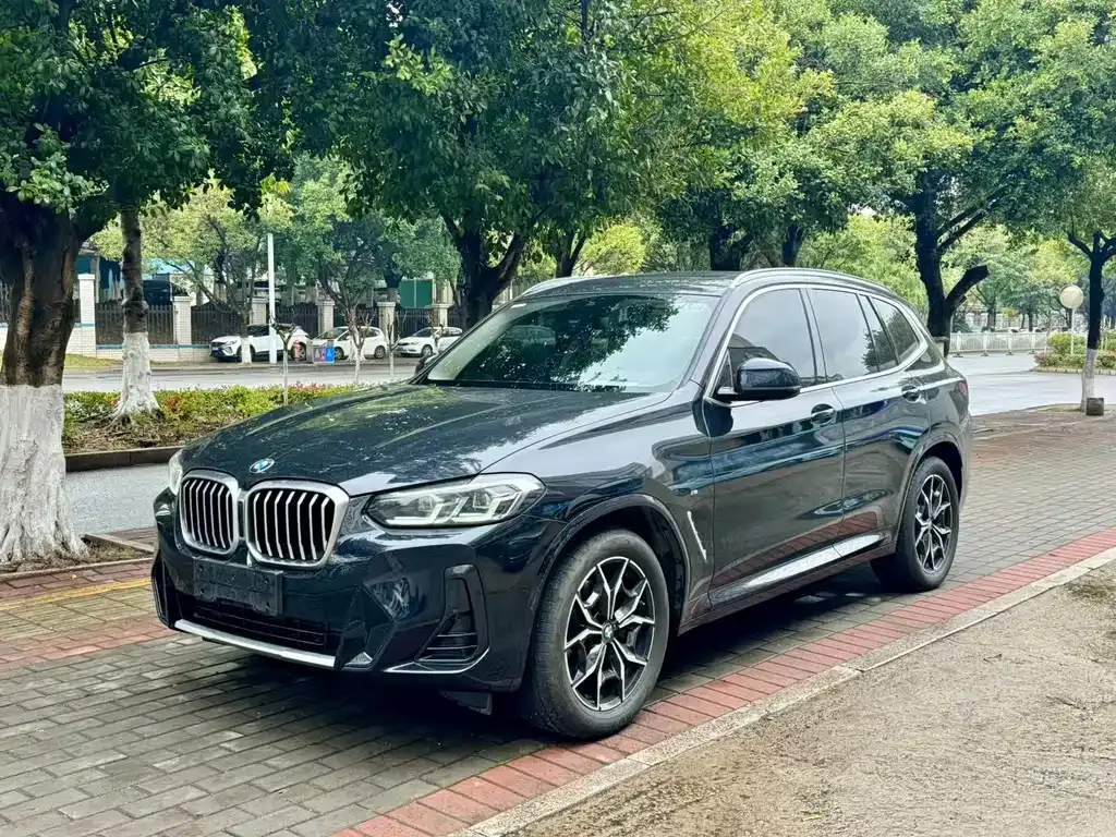 BMW X3 2023 из CN, фото 1