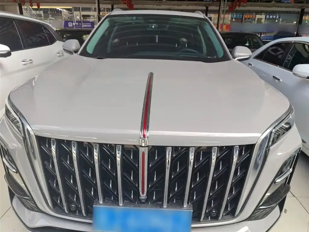 Hongqi HS5 2023 из CN, фото 9