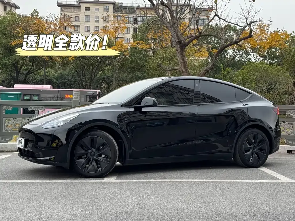 Tesla Model Y 2024 из CN, фото 1