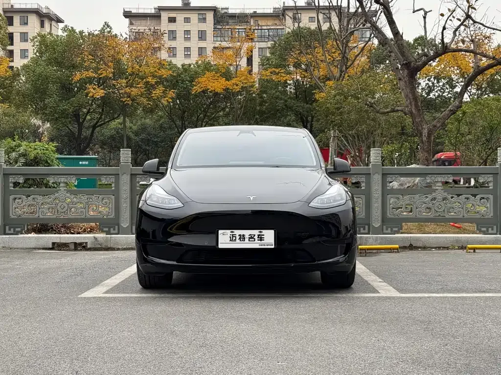 Tesla Model Y 2024 из CN, фото 4