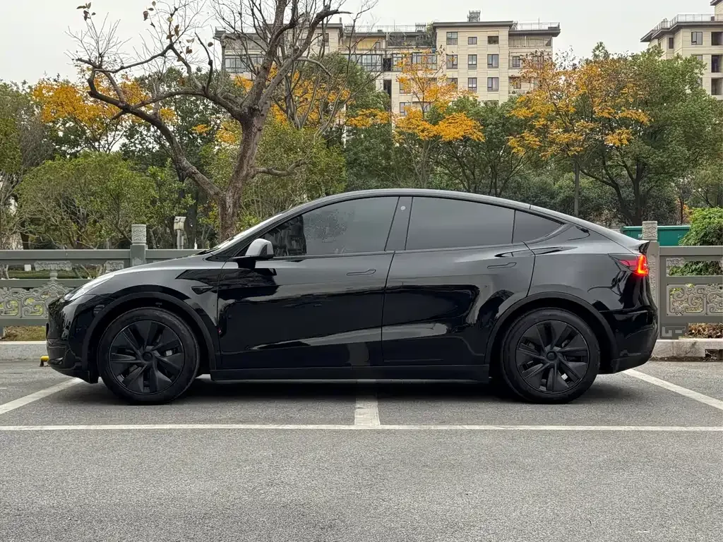 Tesla Model Y 2024 из CN, фото 2