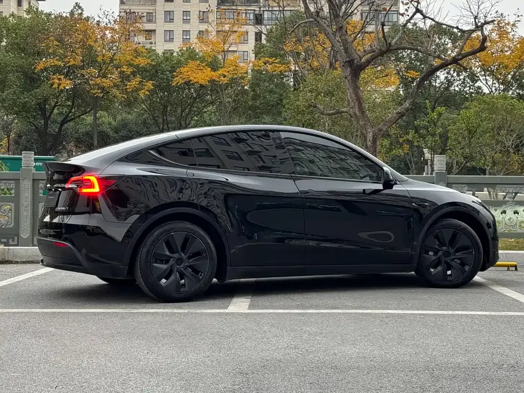 Tesla Model Y 2024 из CN, фото 3
