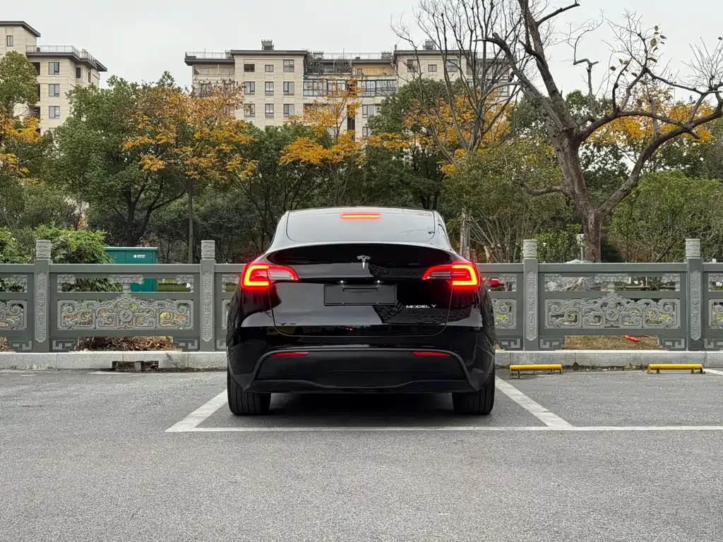 Tesla Model Y 2024 из CN, фото 10