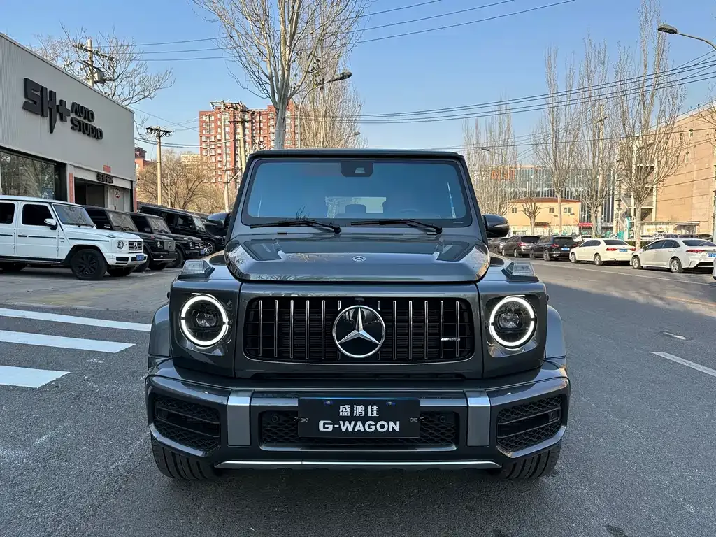 Mercedes-Benz G-Class AMG — фото 8