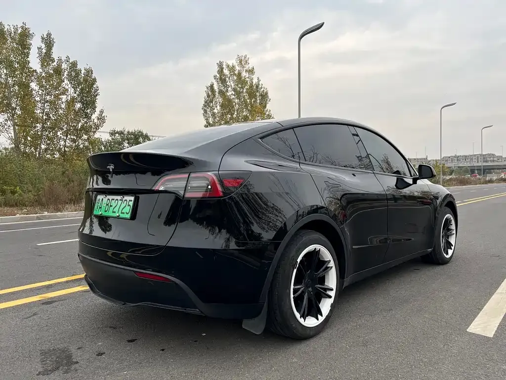 Tesla Model Y 2024 из CN, фото 10