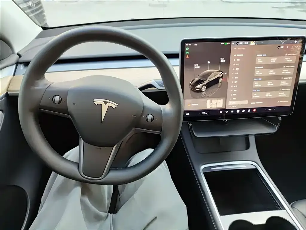 Tesla Model Y 2023 из CN, фото 6