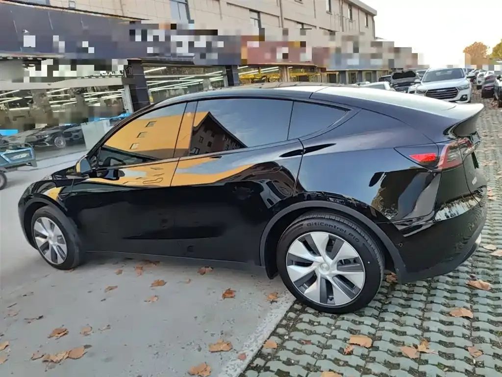 Tesla Model Y 2023 из CN, фото 2