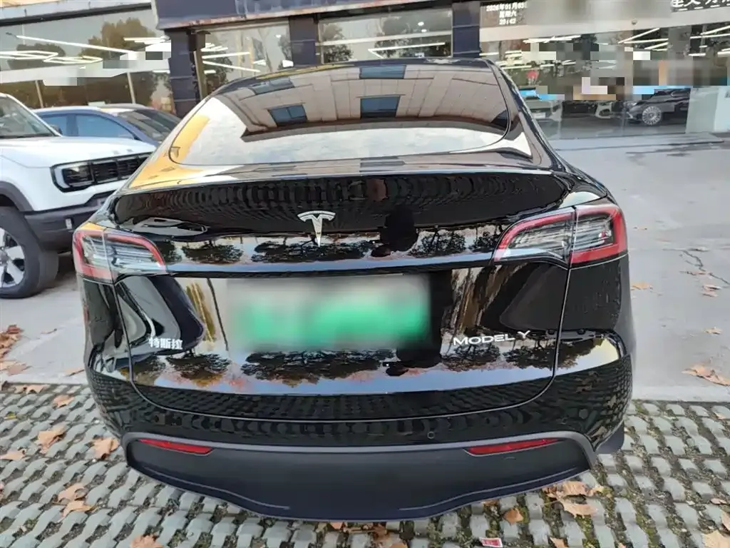 Tesla Model Y 2023 из CN, фото 3