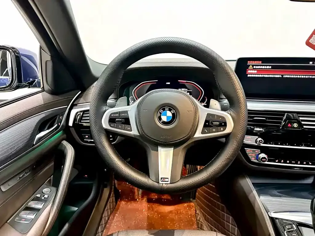 BMW 5 Series 2021 из CN, фото 7