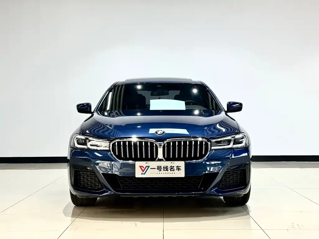 BMW 5 Series 2021 из CN, фото 2