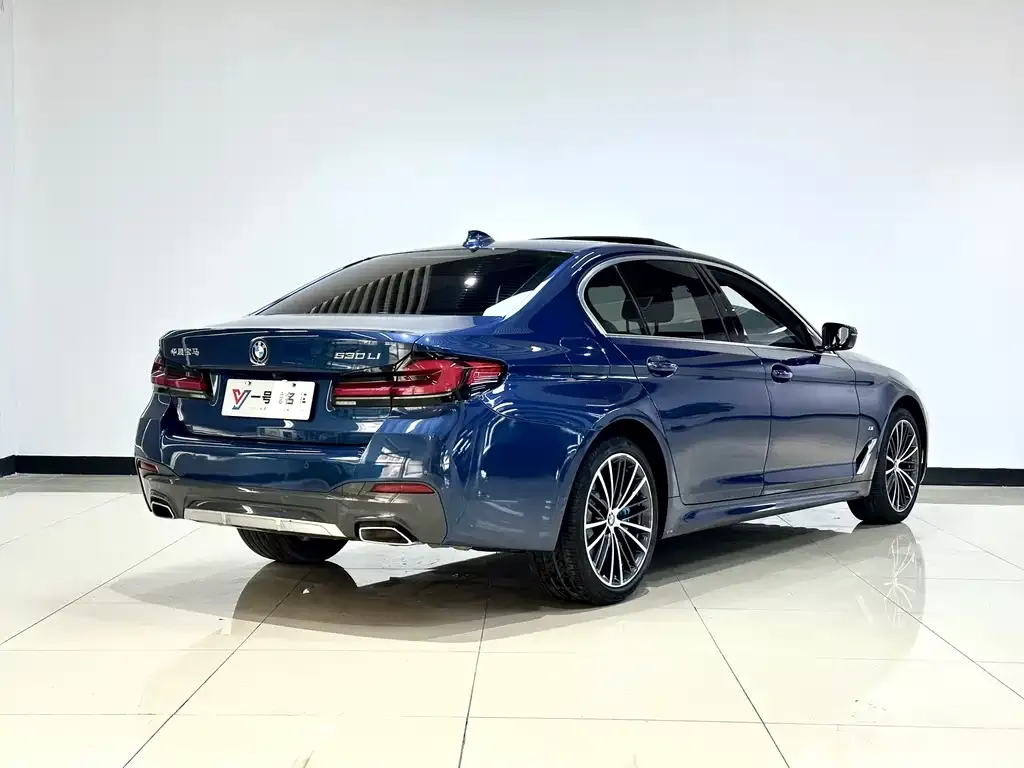 BMW 5 Series 2021 из CN, фото 9