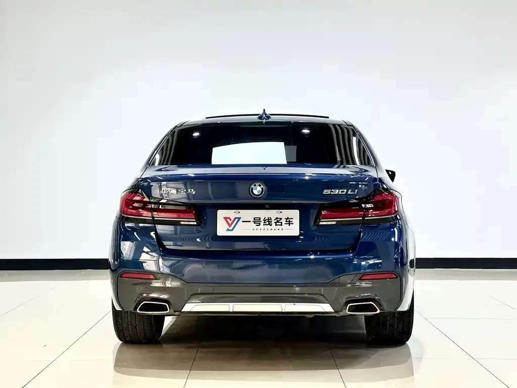 BMW 5 Series 2021 из CN, фото 5