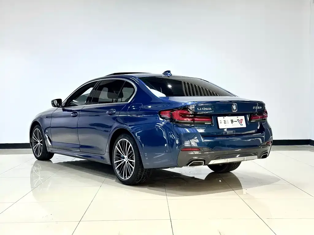 BMW 5 Series 2021 из CN, фото 3